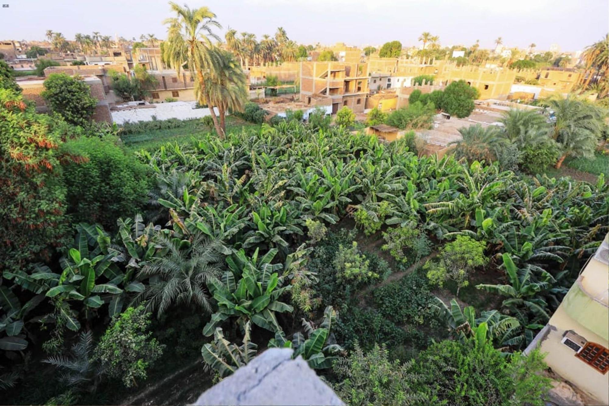 Luxor View Hostel Экстерьер фото