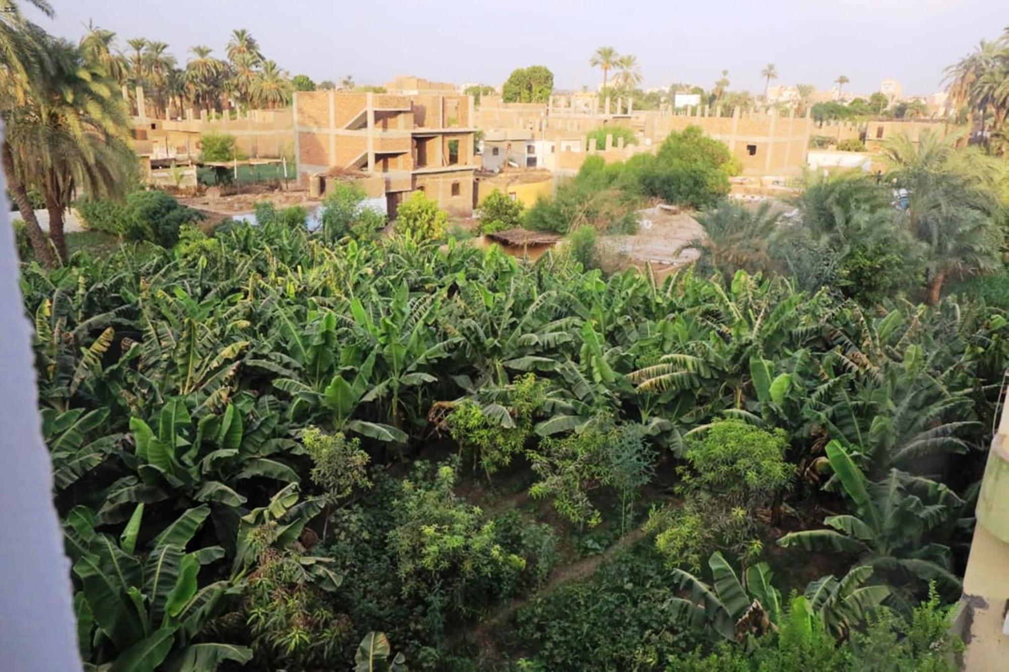 Luxor View Hostel Экстерьер фото